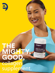 Wellgard Collagen Powder 400g