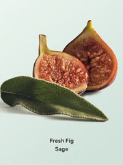 Victoria’s Secret Fresh Fig Sage Hair and Body Mist 236ml