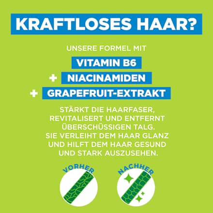 Garnier Fructis Strength & Shine